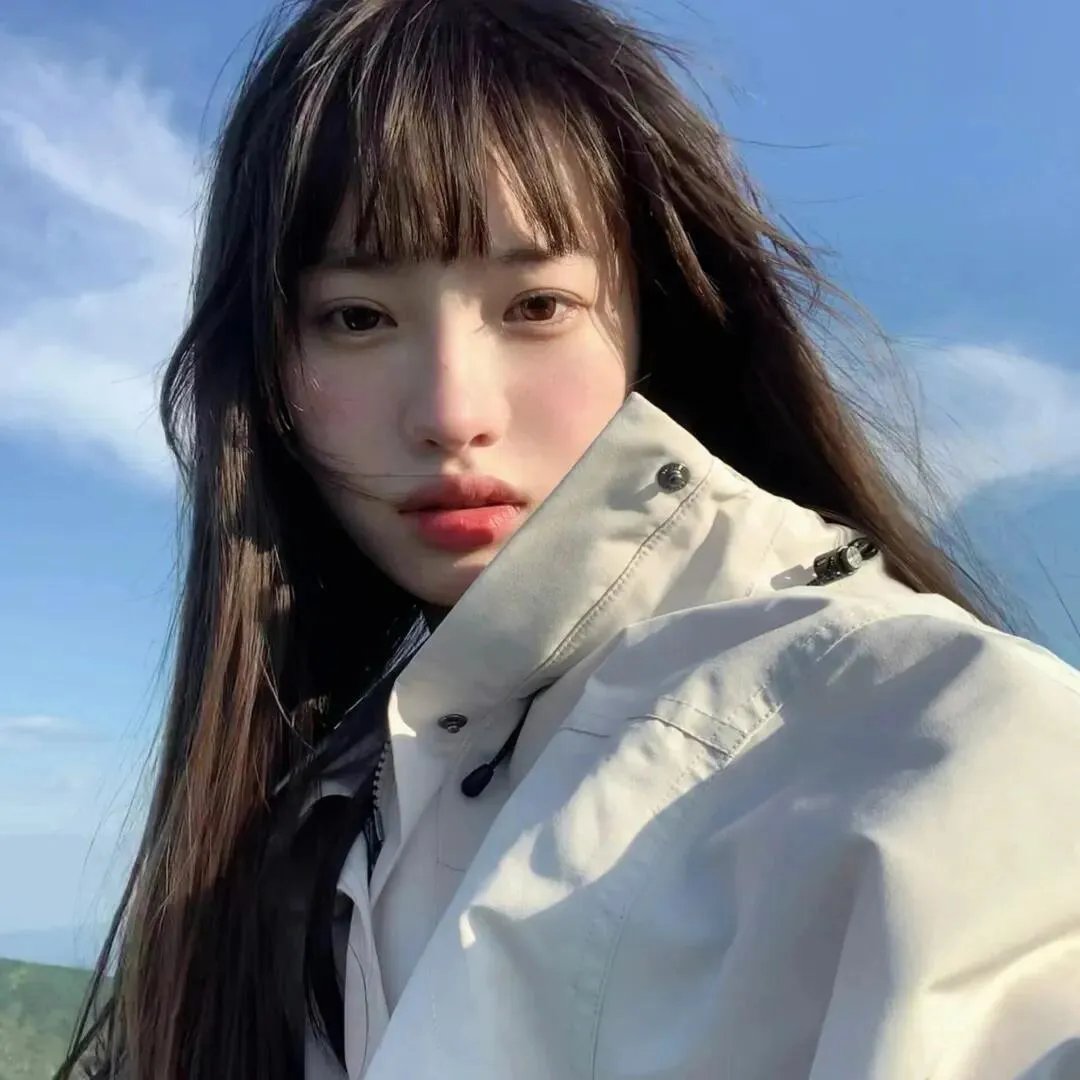 泽西海岸凶鲨案